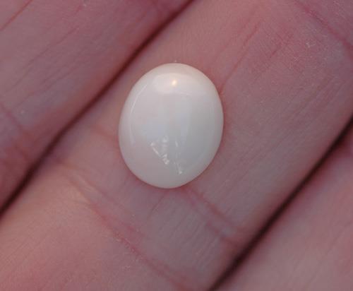 Image for Natural Coral 3.36 ct.  ** VIDEO **