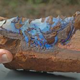 Image for Australia Boulder Opal Rough 2875 grams ** VIDEO **