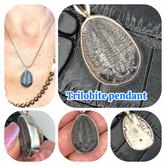 Image for Trilobite Fossil Sterling Silver Pendant