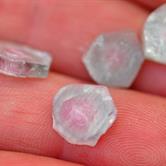 Image for Natural Cruzeiro Mine Tourmaline Slices 14.8 tcw