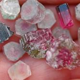 Image for Natural Cruziero Mine Wild Colored Tourmaline Slices 55.3 tcw lot
