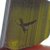 Image for Nigeria Natural Tourmaline crystal 34.6 carat