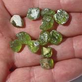 Image for Natural Pakistan Peridot Facet Rough Lot  69.39 tcw