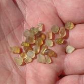 Image for Tanzania Natural Chrysoberyl Facet Rough Lot 34.3 tcw