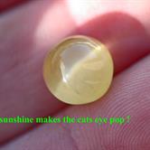 Image for Tanzania Natural Cats Eye Apatite  6.74 carat