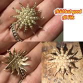 Image for Estate Find!! Edwardian Seed Pearl Starburst Brooch | c.1900 | 14ct Gold | Antique Pearl Star Pin
