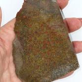Image for Dinosaur Bone Gem Rough Multi color Fossilized Cell Structure 226 g Lapidary or Specimen