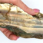 Image for Mexico Imperial Jasper Rough Specimen 767 grams