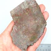 Image for Dinosaur Bone Gem Rough Multi Color Fossilized Cell Structure 90 grams