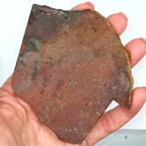 Image for Dinosaur Bone Gem Rough Multi Color Fossilized Cell Structure 93 grams